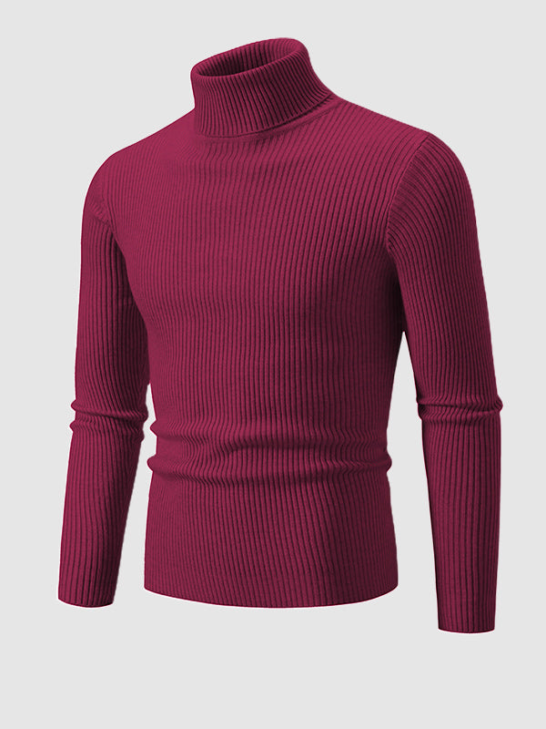 Men's Solid Color Striped Textured Turtleneck Sweater