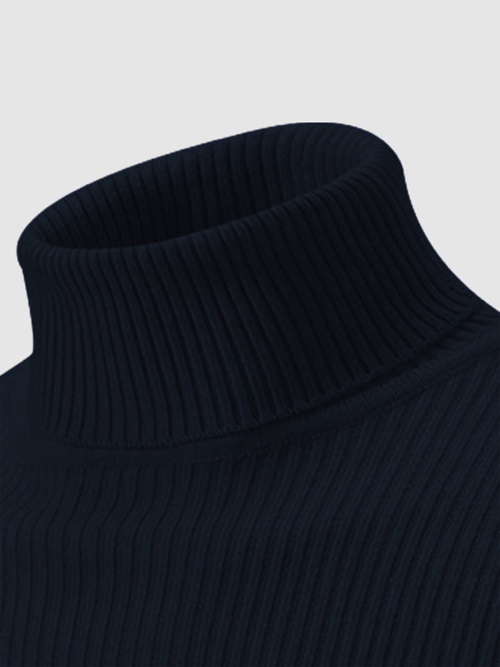 Men's Solid Color Striped Textured Turtleneck Sweater